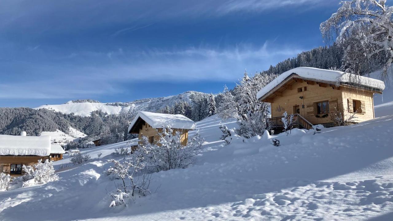 Chalets Savoie Les Chalets D'Heidi Нотр-Дам-де-Белькомб Экстерьер фото