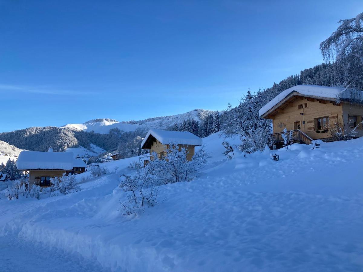 Chalets Savoie Les Chalets D'Heidi Нотр-Дам-де-Белькомб Экстерьер фото