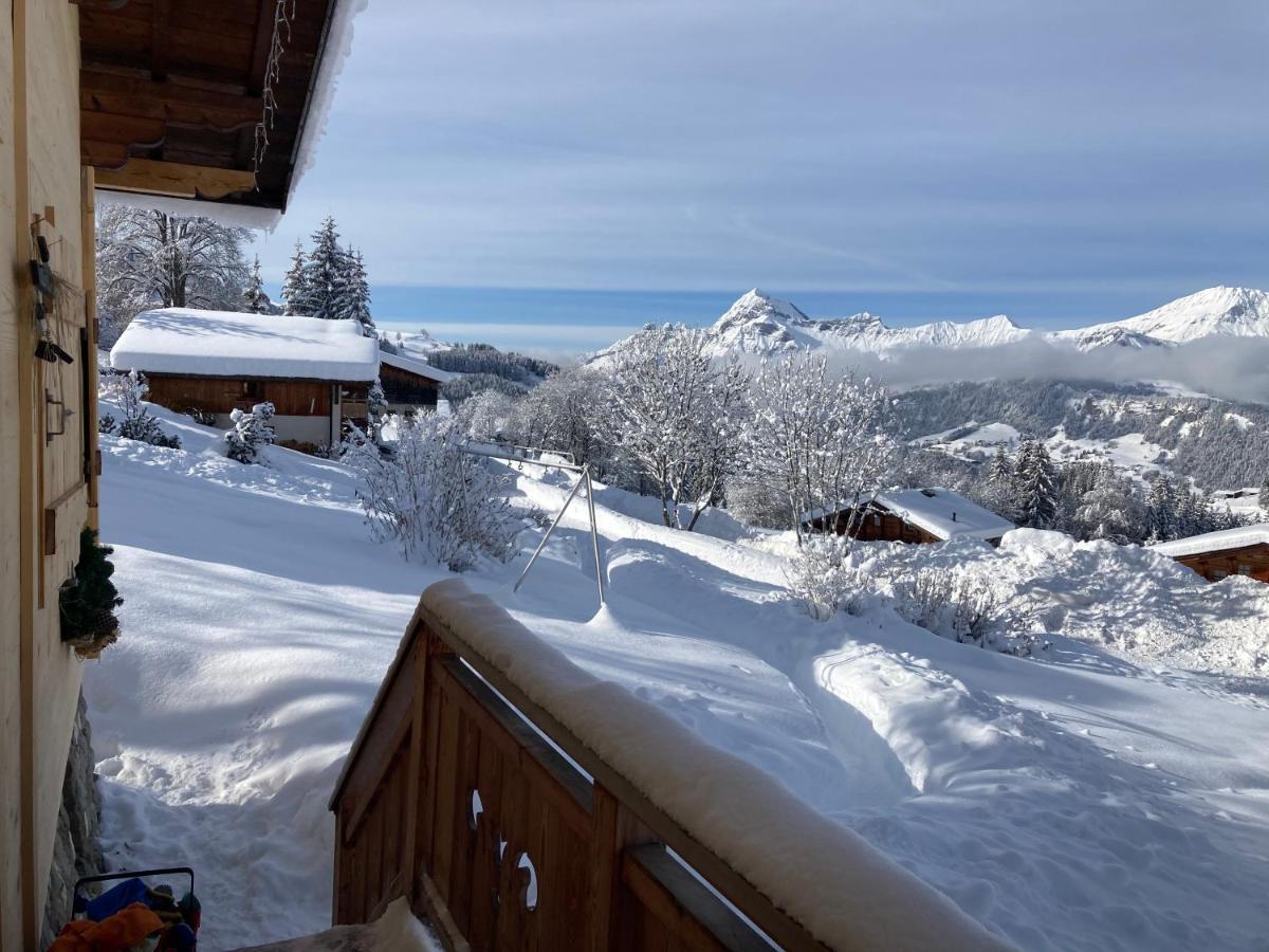 Chalets Savoie Les Chalets D'Heidi Нотр-Дам-де-Белькомб Экстерьер фото