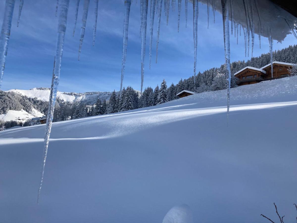 Chalets Savoie Les Chalets D'Heidi Нотр-Дам-де-Белькомб Экстерьер фото