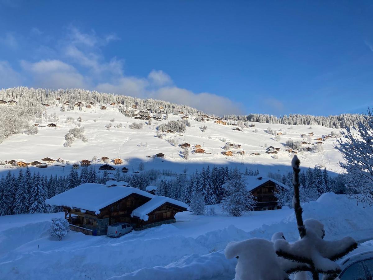 Chalets Savoie Les Chalets D'Heidi Нотр-Дам-де-Белькомб Экстерьер фото