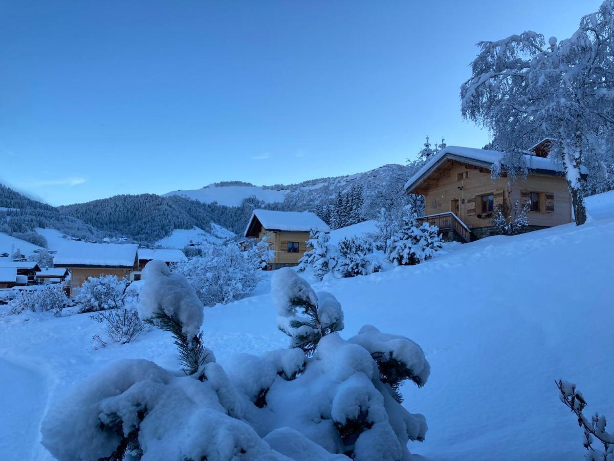 Chalets Savoie Les Chalets D'Heidi Нотр-Дам-де-Белькомб Экстерьер фото