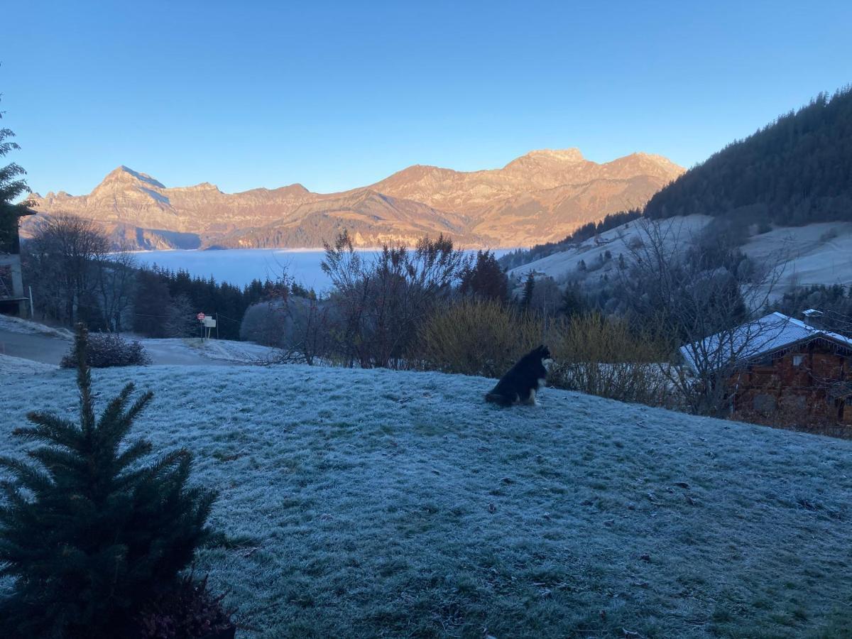 Chalets Savoie Les Chalets D'Heidi Нотр-Дам-де-Белькомб Экстерьер фото