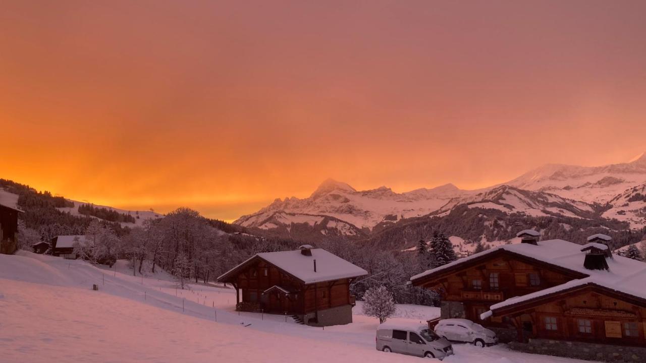 Chalets Savoie Les Chalets D'Heidi Нотр-Дам-де-Белькомб Экстерьер фото