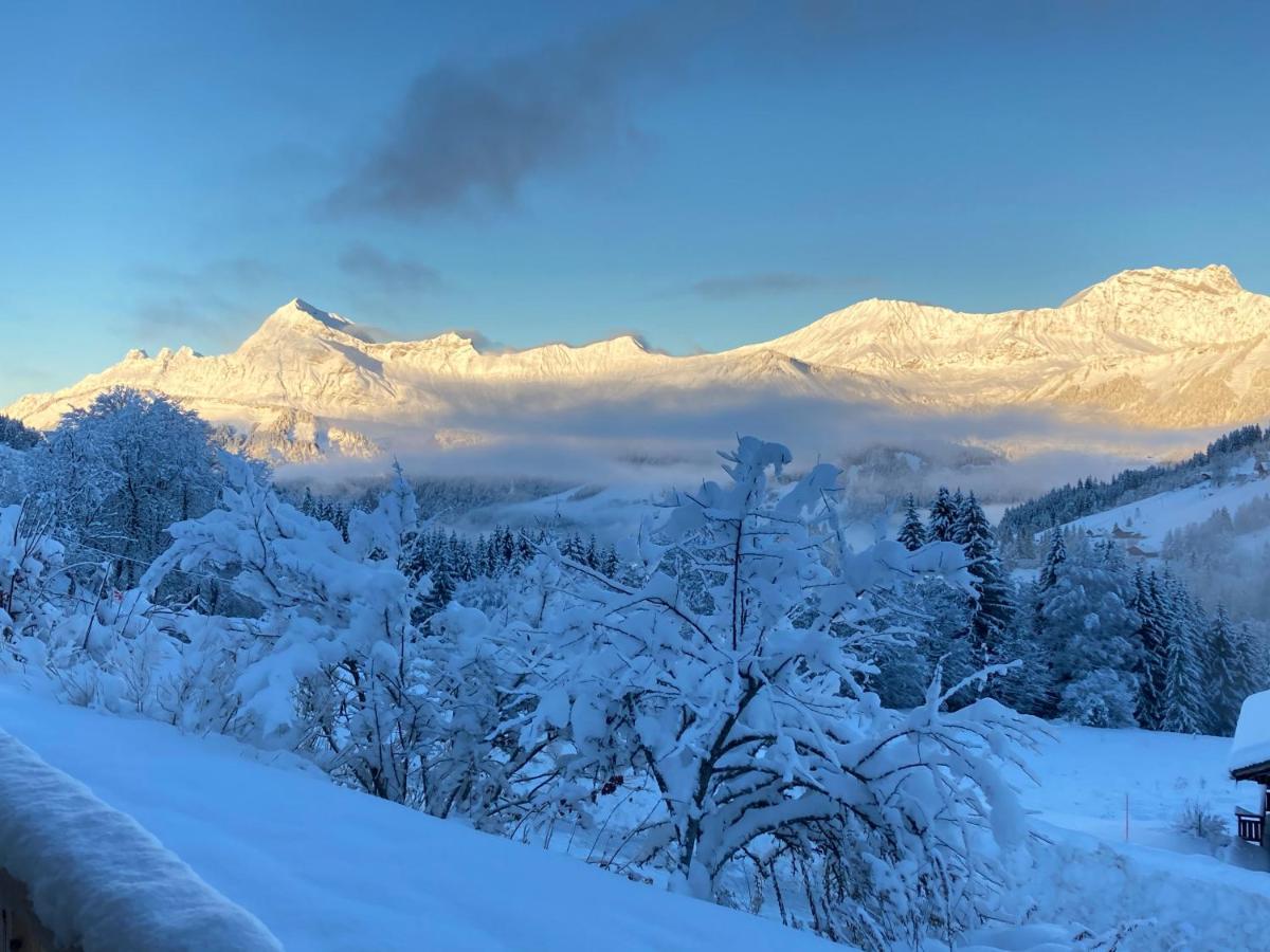 Chalets Savoie Les Chalets D'Heidi Нотр-Дам-де-Белькомб Экстерьер фото
