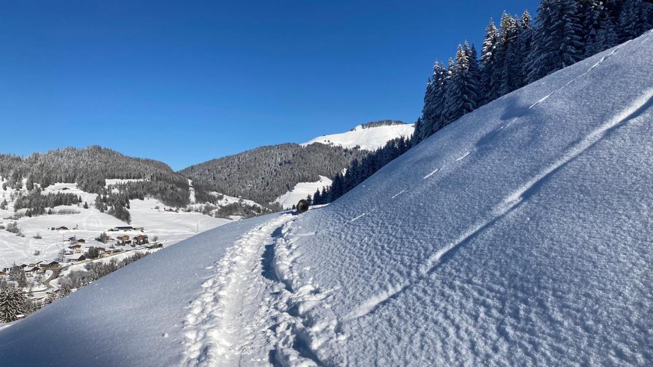 Chalets Savoie Les Chalets D'Heidi Нотр-Дам-де-Белькомб Экстерьер фото