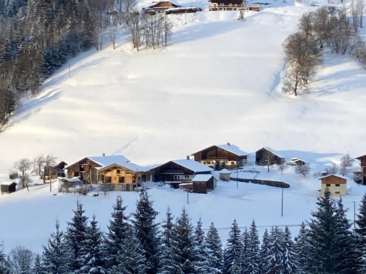 Chalets Savoie Les Chalets D'Heidi Нотр-Дам-де-Белькомб Экстерьер фото