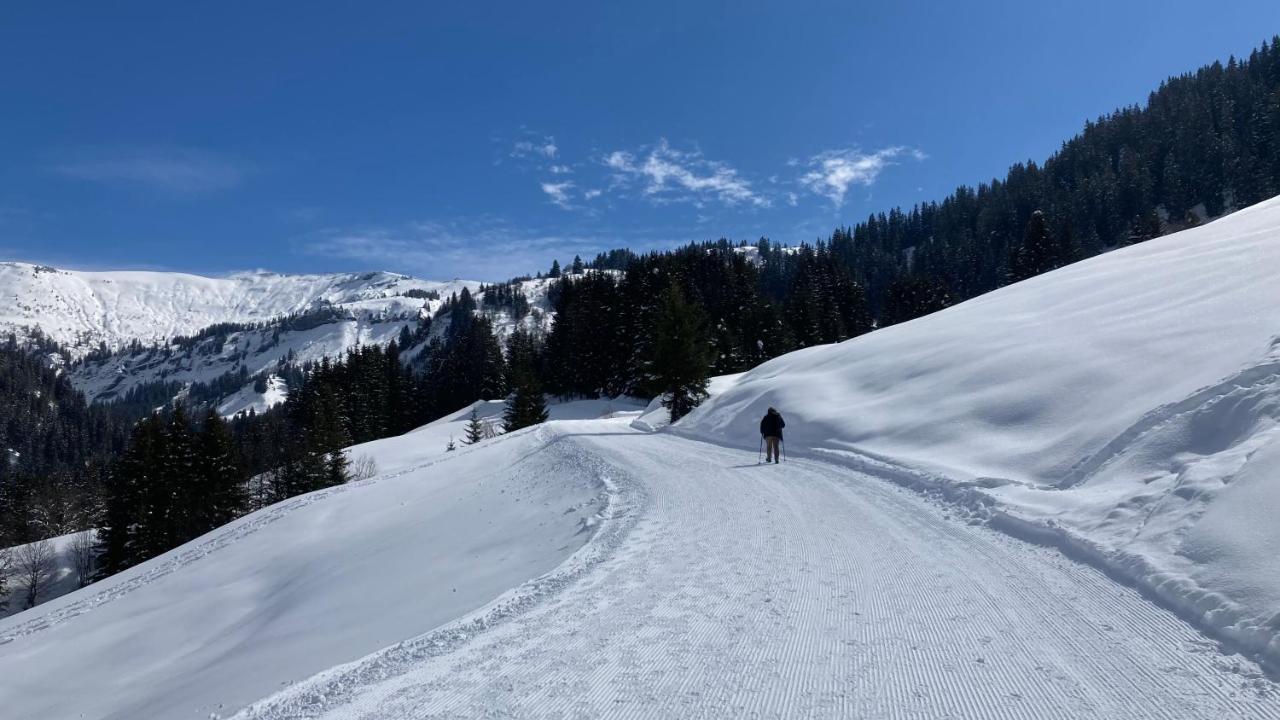 Chalets Savoie Les Chalets D'Heidi Нотр-Дам-де-Белькомб Экстерьер фото