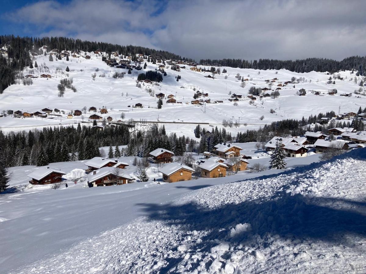 Chalets Savoie Les Chalets D'Heidi Нотр-Дам-де-Белькомб Экстерьер фото