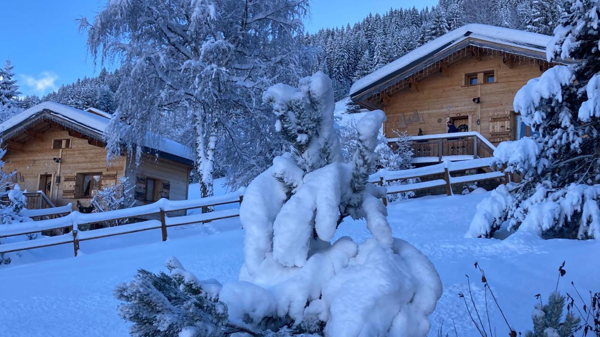 Chalets Savoie Les Chalets D'Heidi Нотр-Дам-де-Белькомб Экстерьер фото