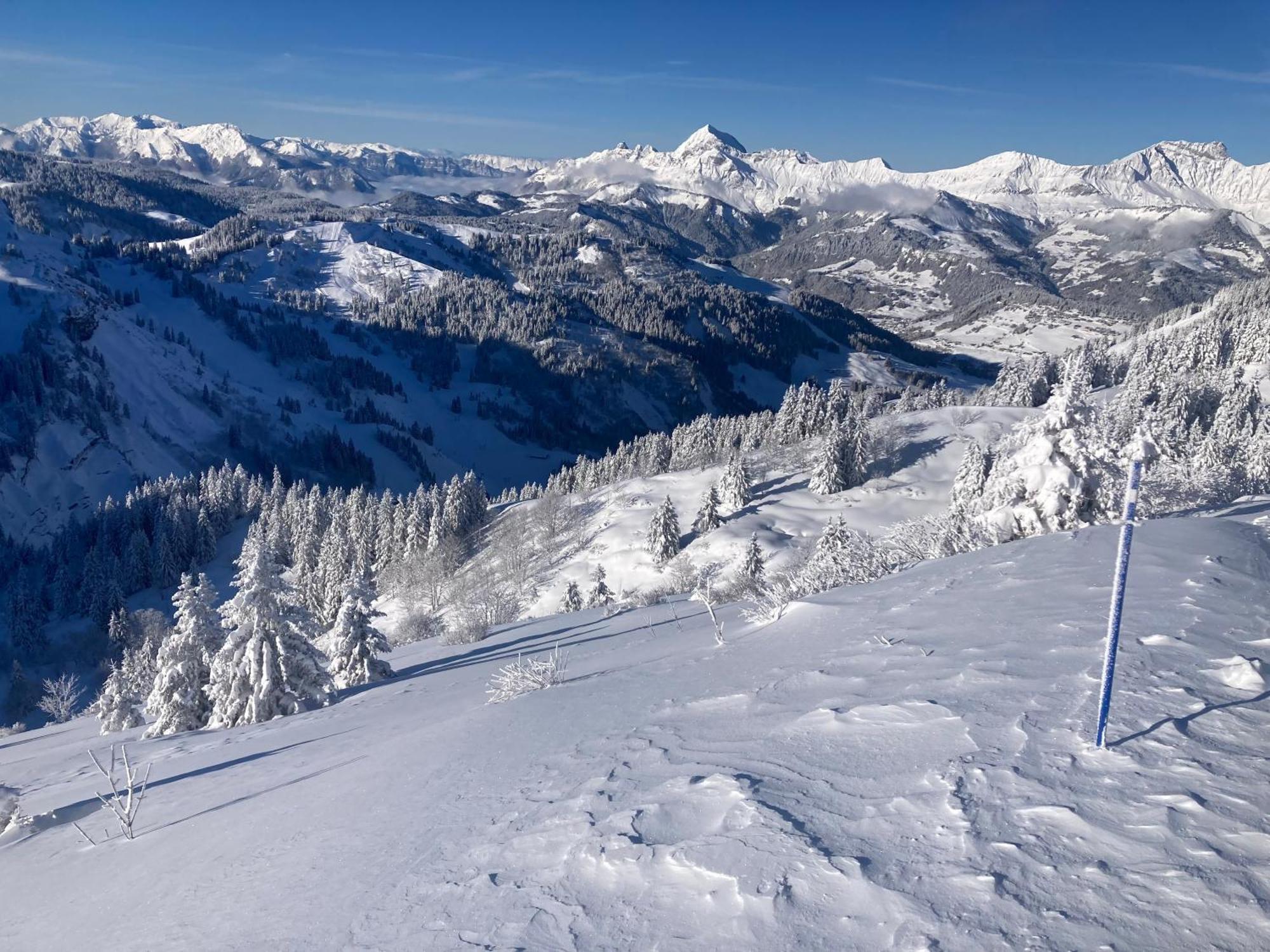 Chalets Savoie Les Chalets D'Heidi Нотр-Дам-де-Белькомб Экстерьер фото