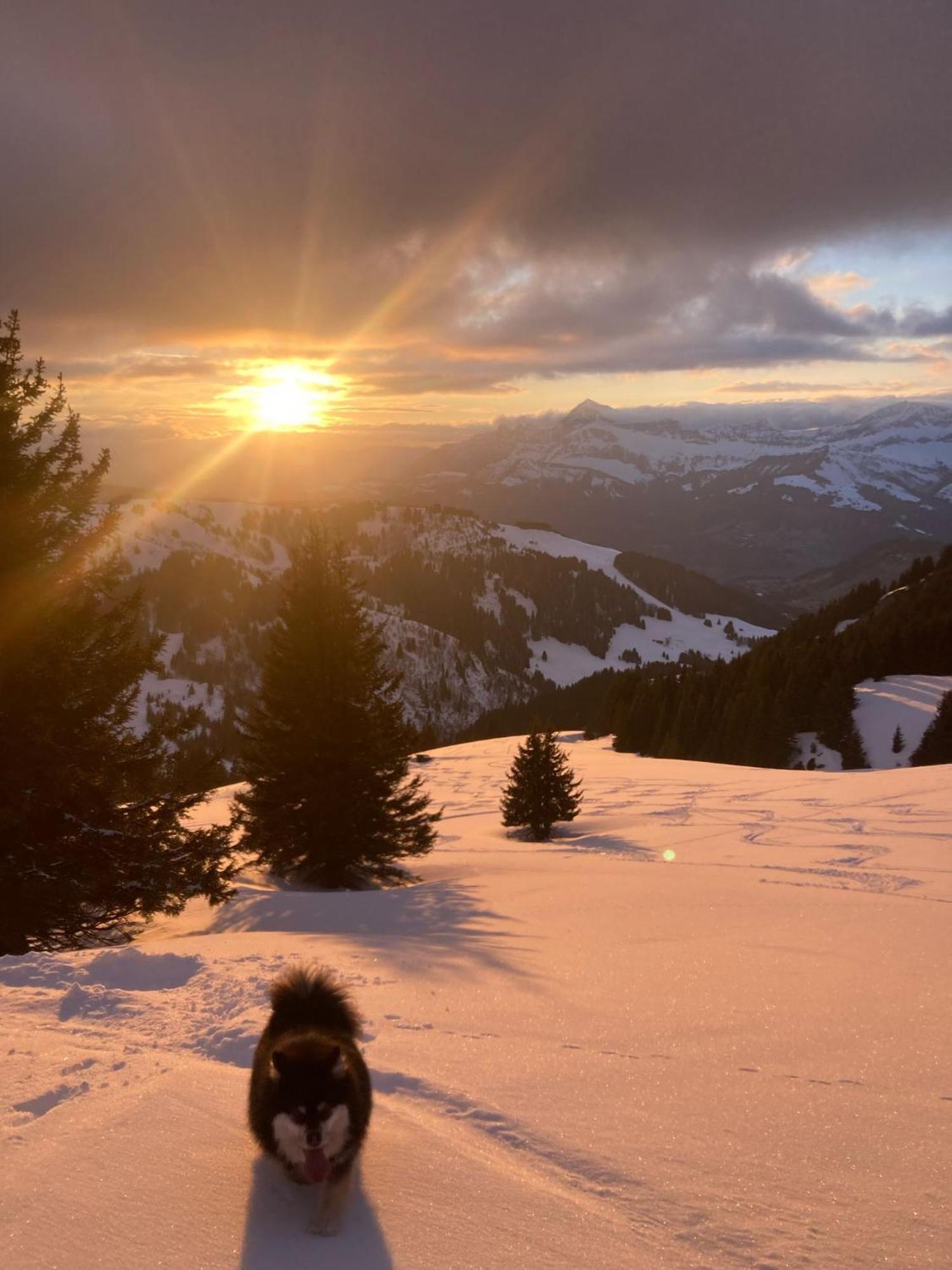 Chalets Savoie Les Chalets D'Heidi Нотр-Дам-де-Белькомб Экстерьер фото