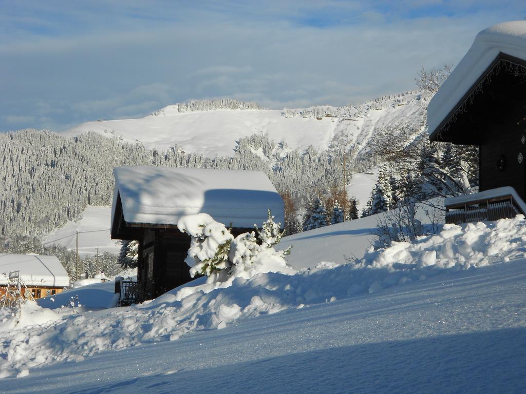 Chalets Savoie Нотр-Дам-де-Белькомб Экстерьер фото