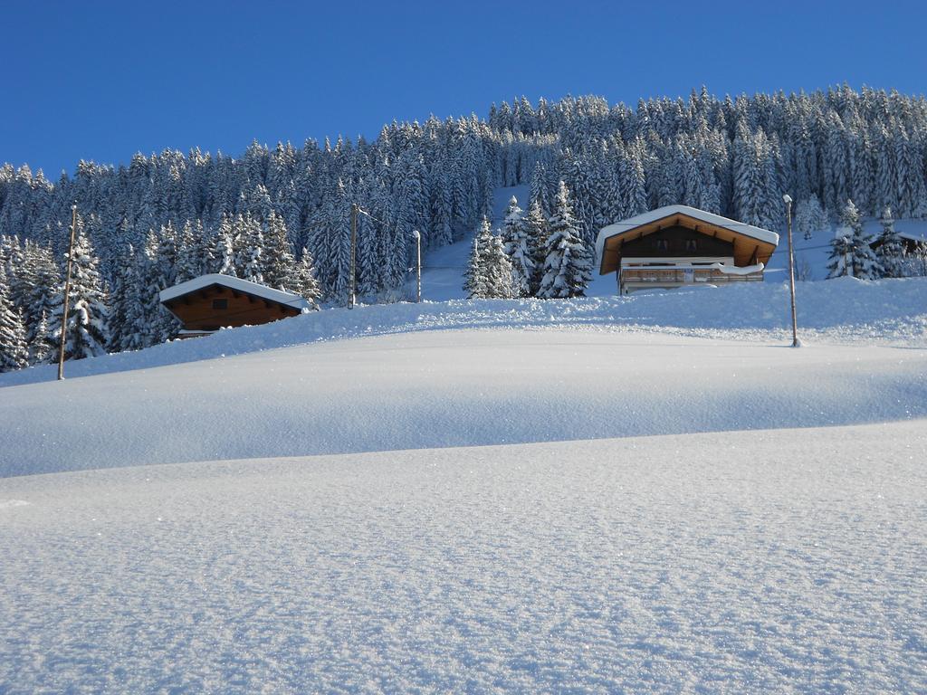 Chalets Savoie Нотр-Дам-де-Белькомб Экстерьер фото