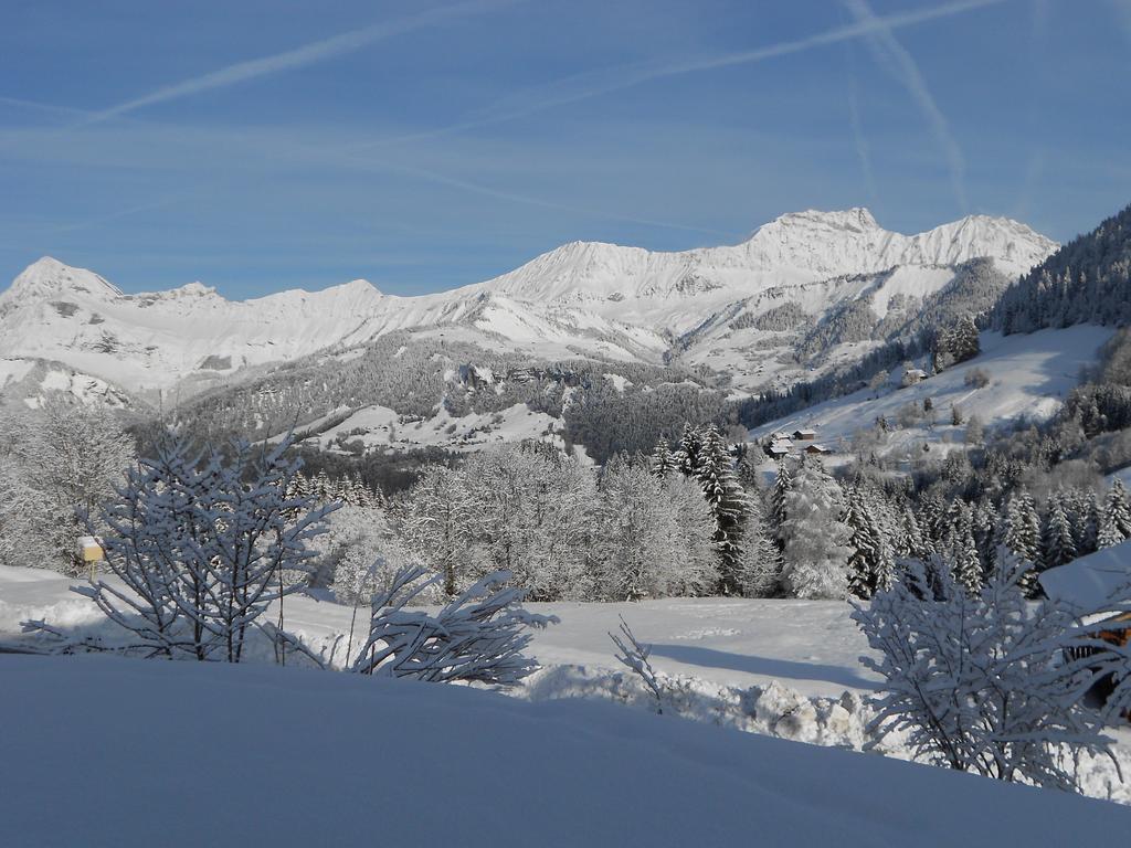 Chalets Savoie Les Chalets D'Heidi Нотр-Дам-де-Белькомб Экстерьер фото