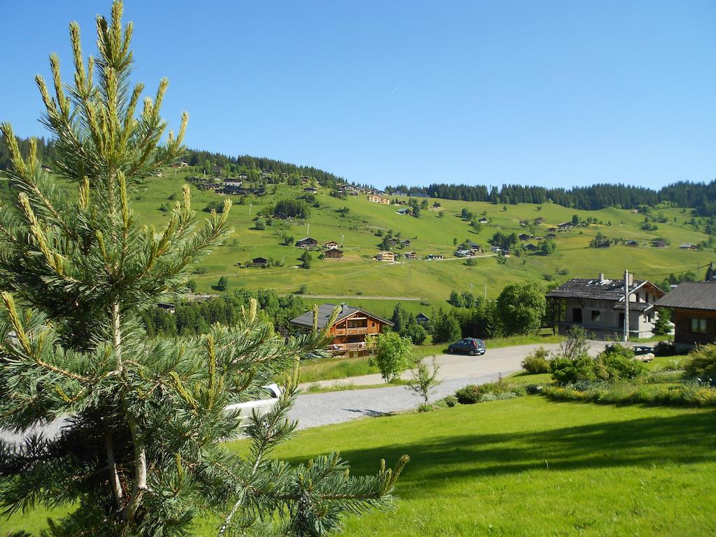 Chalets Savoie Les Chalets D'Heidi Нотр-Дам-де-Белькомб Экстерьер фото
