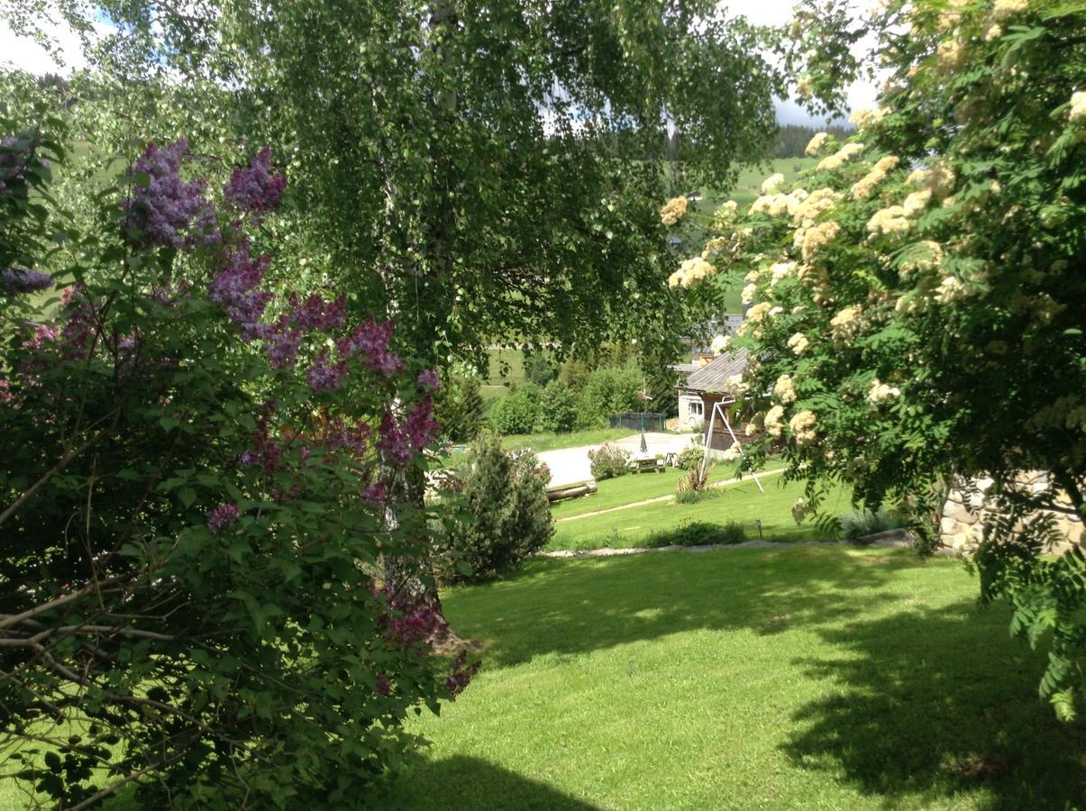 Chalets Savoie Les Chalets D'Heidi Нотр-Дам-де-Белькомб Экстерьер фото
