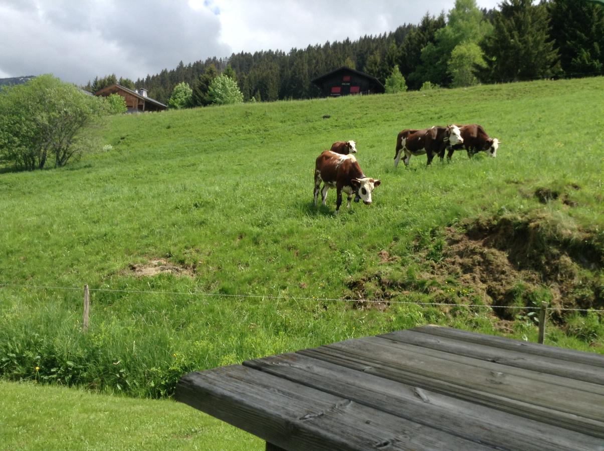 Chalets Savoie Les Chalets D'Heidi Нотр-Дам-де-Белькомб Экстерьер фото