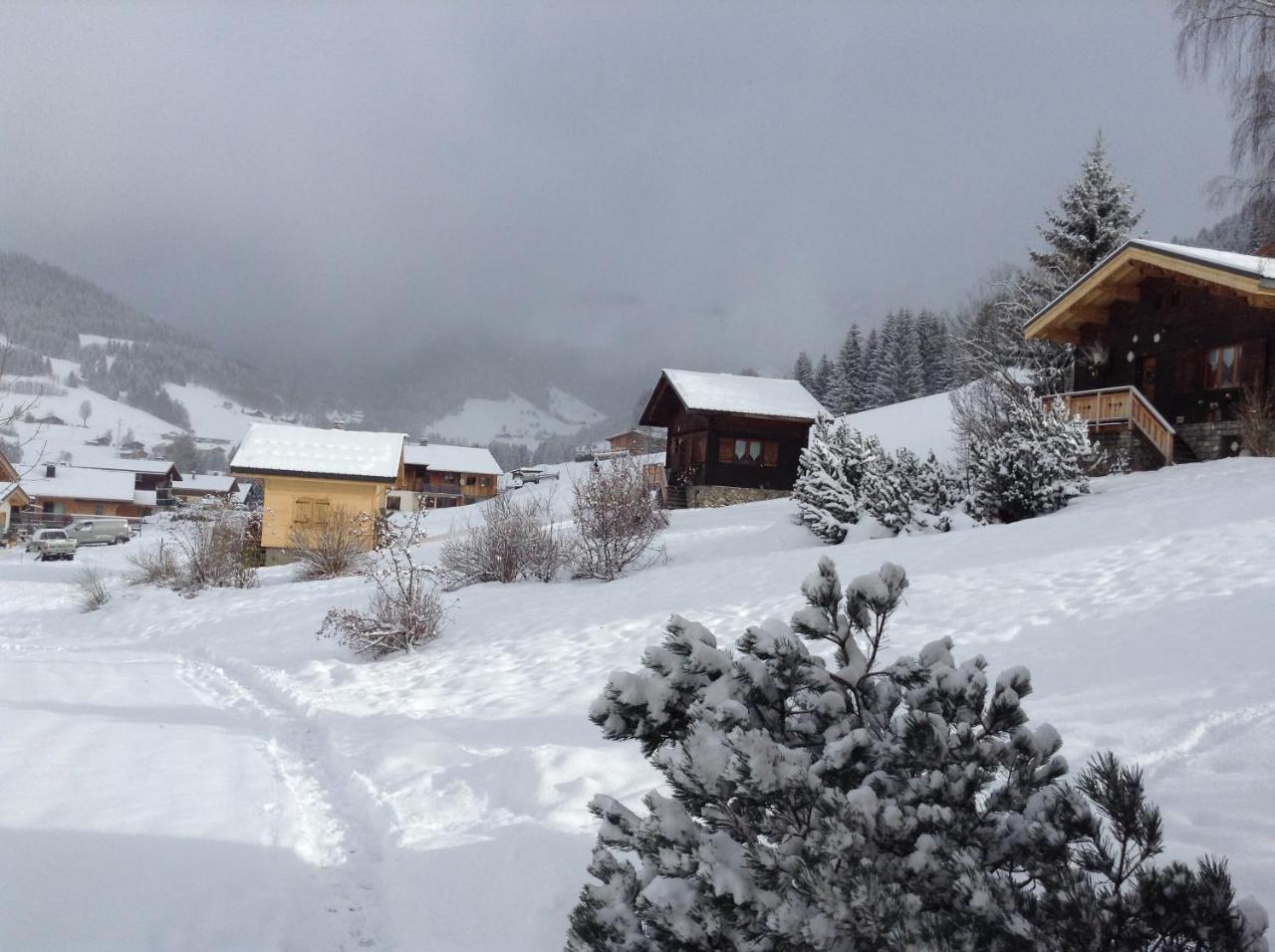 Chalets Savoie Les Chalets D'Heidi Нотр-Дам-де-Белькомб Экстерьер фото