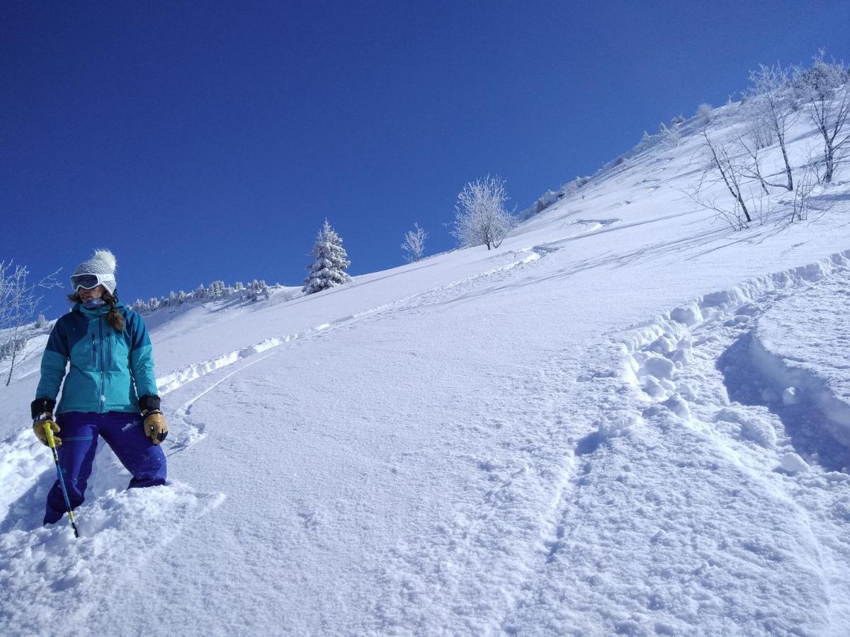 Chalets Savoie Les Chalets D'Heidi Нотр-Дам-де-Белькомб Экстерьер фото
